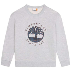 TIMBERLAND - Sweat-shirt en molleton gratté Gris
