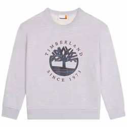 TIMBERLAND - Sweat-shirt en molleton gratté Gris