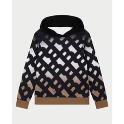 BOSS - Sweat-shirt à capuche Noir