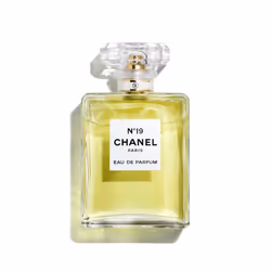 CHANEL N°19 Eau De Parfum 100 ml, Femmes, 100 ml, Flacon non réutilisable, Un équilibre parfait entre le fusant des notes ver ...