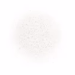 CHANEL N°1 DE 140ml Femmes - Vue supplémentaire 4