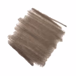 CHANEL Crayon Courcils 1 g Marron