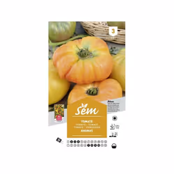 Graines potagères tomate Ananas