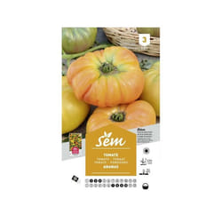 Graines potagères tomate Ananas