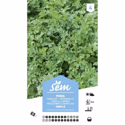Graines potagères persil Simple XXL