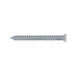 Finish - Vis auto taraudeuse who tf torx blanche 202 mm boite de 100