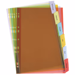 Oxford 100204565, Couleurs assorties, Polyvinyl chloride (PVC), A4+, 247 mm, 3 mm, 125 g