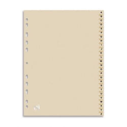Oxford 100204599 intercalaire Carton Beige 1 pièce(s)