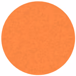 Oxford 400114355 fichier Carton Orange A4