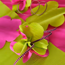 Canson C200001409 papier crêpon Citron vert