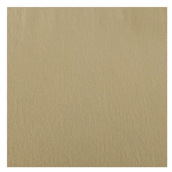 Canson C200001480 papier crêpon Crème