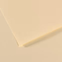 Canson 200321274, papier d'art, 160 g/m², 25 feuilles
