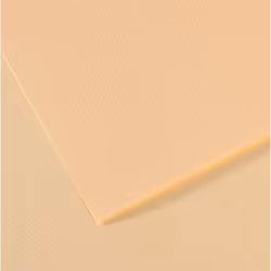 Canson Mi-Teintes, papier d'art, 160 g/m²