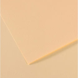 Canson Mi-Teintes papier d'art