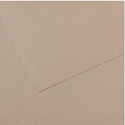 Canson Mi-Teintes papier d'art