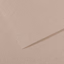 Canson 200331424, papier d'art, 160 g/m², 25 feuilles