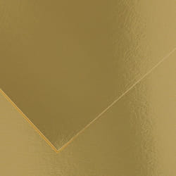 Canson Iris Vivaldi papier d'art 25 feuilles