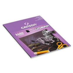 Canson 400015602 papier créatif 10 feuilles