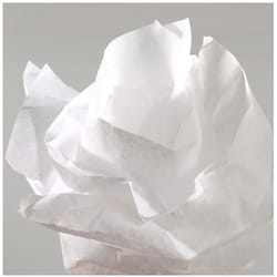 Canson C200992659 papier crêpon Blanc