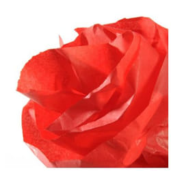 Canson C200992662 papier crêpon Rouge