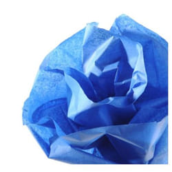 Canson C200992665 papier crêpon Bleu