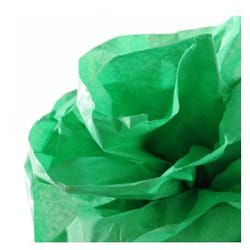 Canson C200992666 papier crêpon Vert