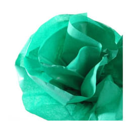 Canson C200992667 papier crêpon Vert