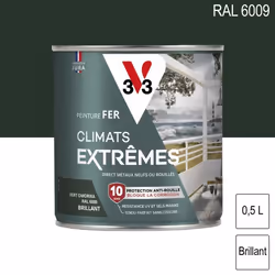 Peinture fer Climats Extrêmes RAL 6009 Vert omorika brillant 05L V33