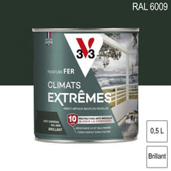 Peinture fer Climats Extrêmes RAL 6009 Vert omorika brillant 05L V33