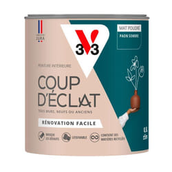 Peinture murale intérieure Coup d'Éclat® V33 Paon sombre Mat Poudré 0,5L