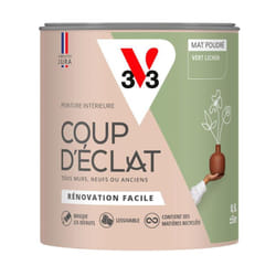 Peinture murale intérieure Coup d'Éclat® V33 Vert lichen Mat Poudré 0,5L