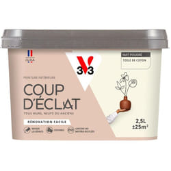 Peinture murale intérieure Coup d'Éclat® V33 Toile de coton Mat Poudré 2,5L