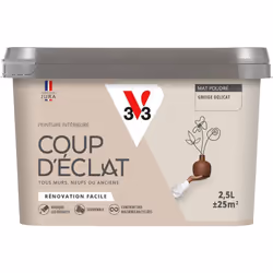 Envie de redonner simplement un coup de jeune à votre intérieur ? La Peinture intérieure COUP D’ÉCLAT ® est la solution pour ...