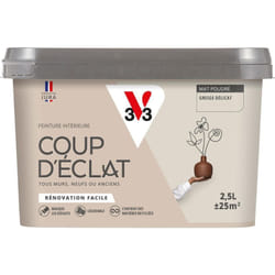 V33 - Peinture murale intérieure Coup d'Éclat® Greige délicat Mat Poudré 2,5L