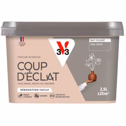 Envie de redonner simplement un coup de jeune à votre intérieur ? La Peinture intérieure COUP D’ÉCLAT ® est la solution pour ...