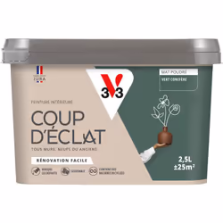 Envie de redonner simplement un coup de jeune à votre intérieur ? La Peinture intérieure COUP D’ÉCLAT ® est la solution pour  ...