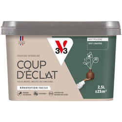 Peinture murale intérieure Coup d'Éclat® V33 Vert conifère Mat Poudré 2,5L
