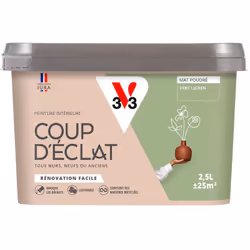 Envie de redonner simplement un coup de jeune à votre intérieur ? La Peinture intérieure COUP D’ÉCLAT ® est la solution pour  ...