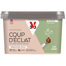 Peinture murale intérieure Coup d'Éclat® V33 Vert lichen Mat Poudré 2,5L