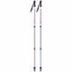 CAO Lot de 2 Bâtons de randonnée - Hauteur réglable 66 à 145cm - Gris