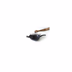 Pradel Excellence 52885M poêle Wok/Poêle à frire Rond