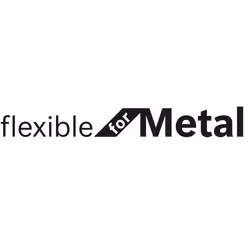 Bosch Lames de scie sabre S 922 AF Flexible for Metal