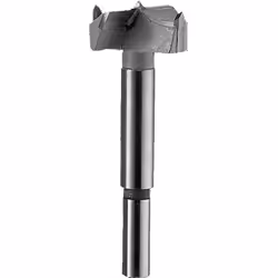Bosch 2609255280, Perceuse, 2,5 cm, 90 mm, Bois abrasif, Contre-plaqué, Bois, 8 mm, 1 pièce(s)