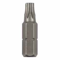 Peu de tournevis Bosch 2609255935; T25; 25 mm; 2 unités