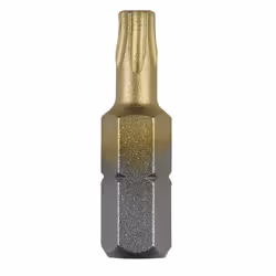 Peu de tournevis Bosch 2609255942; T20; 25 mm