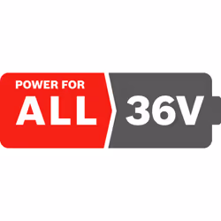 Bosch F016800346 batterie et chargeur d’outil électroportatif