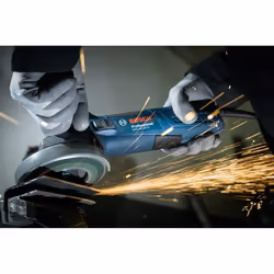 Meuleuse d'angle Bosch GWS 19-125 CI