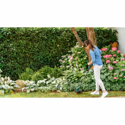 Bosch EasyGrassCut 18V-26 26 cm Batterie Noir, Vert