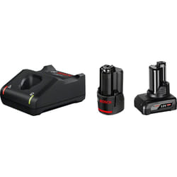 Bosch 1 x GBA 12V 2.0Ah + 1 x GBA 12V 4.0Ah + GAL 12V-40 Professional chargeur de batterie Pile domestique Secteur