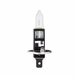Ampoule halogène BOSCH H1 Pure Light 12V, 55W, 1 pièce